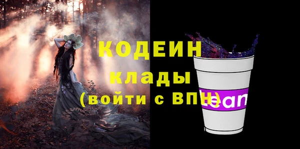 стаф Пересвет