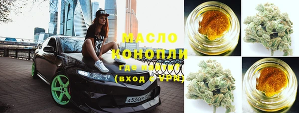 стаф Пересвет