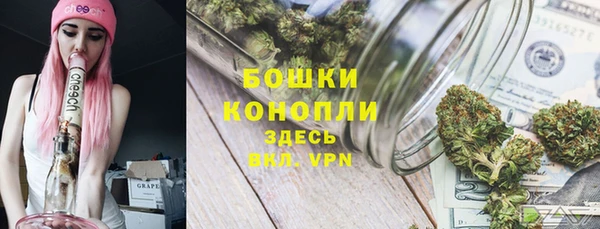 стаф Пересвет