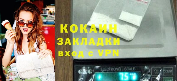 стаф Пересвет